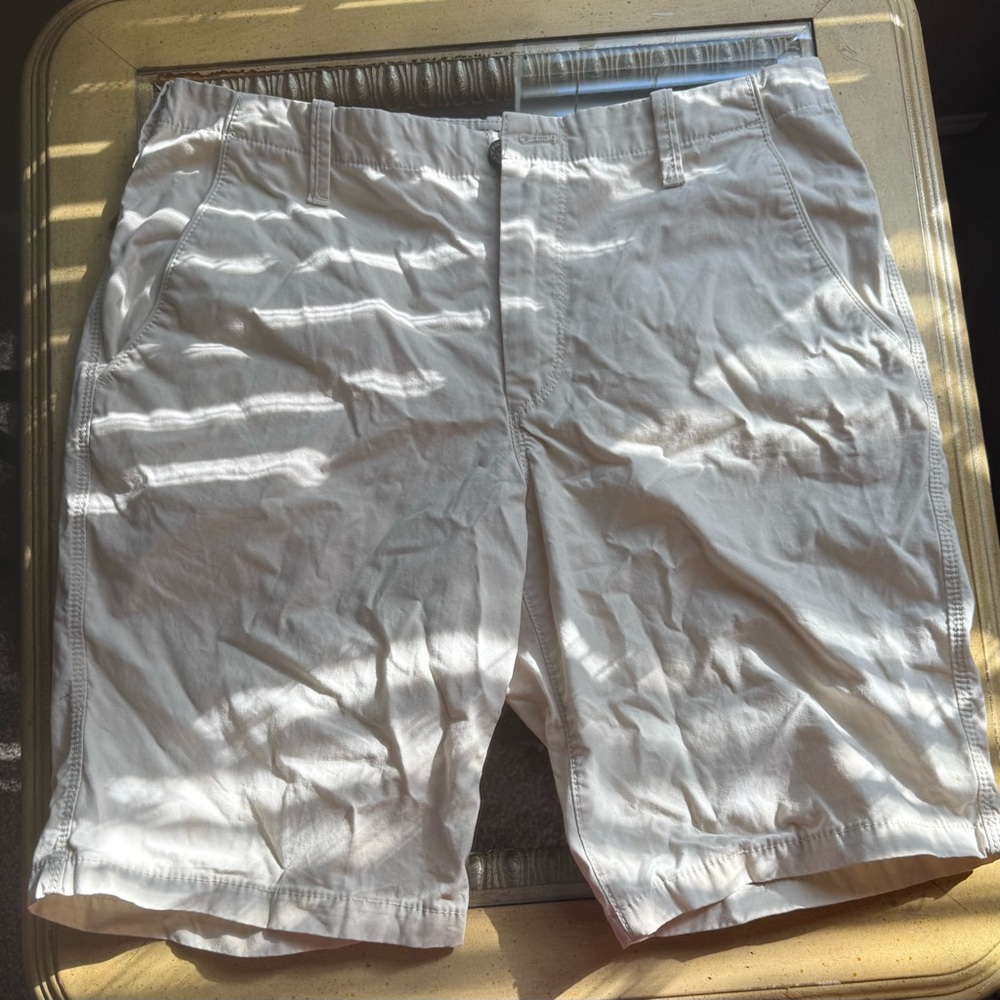 Express Men's Off-White Flat Front Shorts